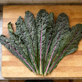 Dazzling Blue, Kale Seed